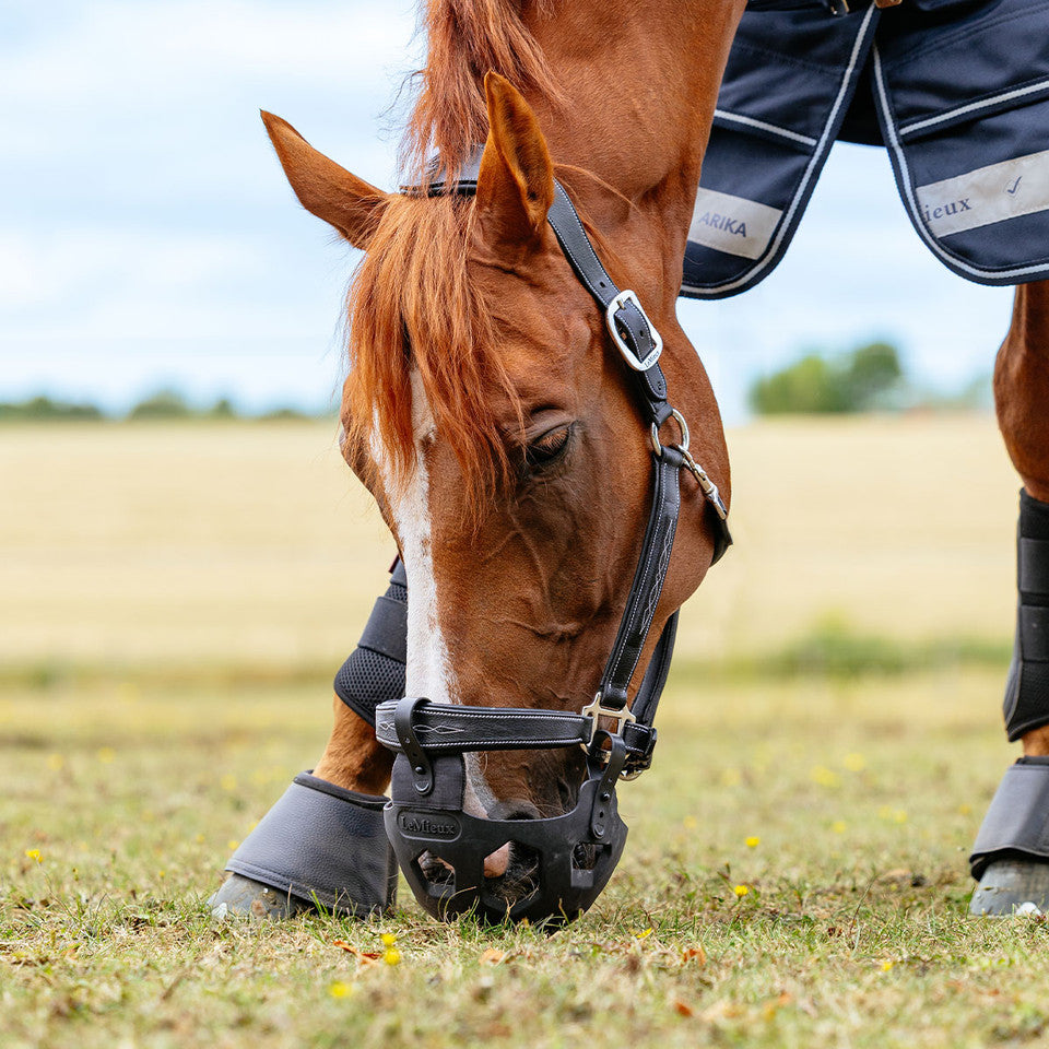 LeMieux Noma Grazing Muzzle - sort