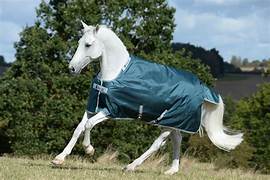 BUCAS ATLANTIC DÆKKEN BALLISTIC