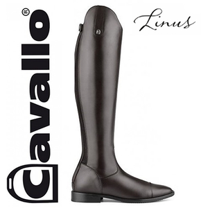 Cavallo Linus