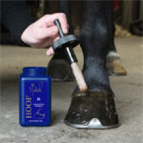 Hoof Oil Nathalie Horsecare