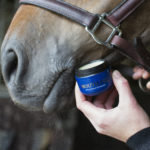 Mouth Fix Nathalie Horsecare