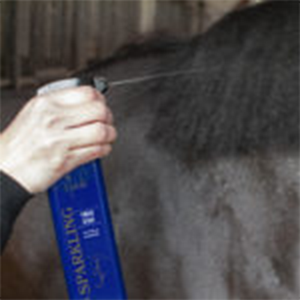 Royal Sparkling Finish Nathalie Horsecare