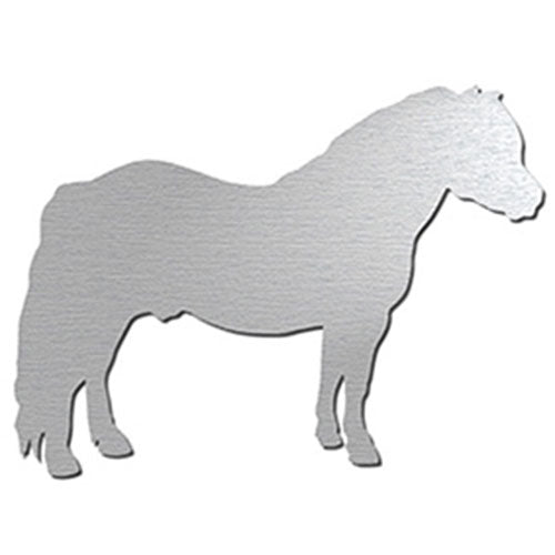 Shetlandpony